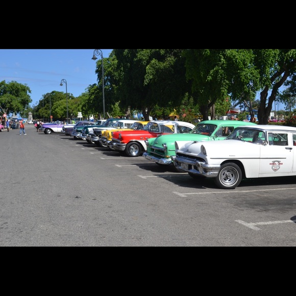 FOLLOW me to 500k! 🌺 🦋 - Picture 3 of 8